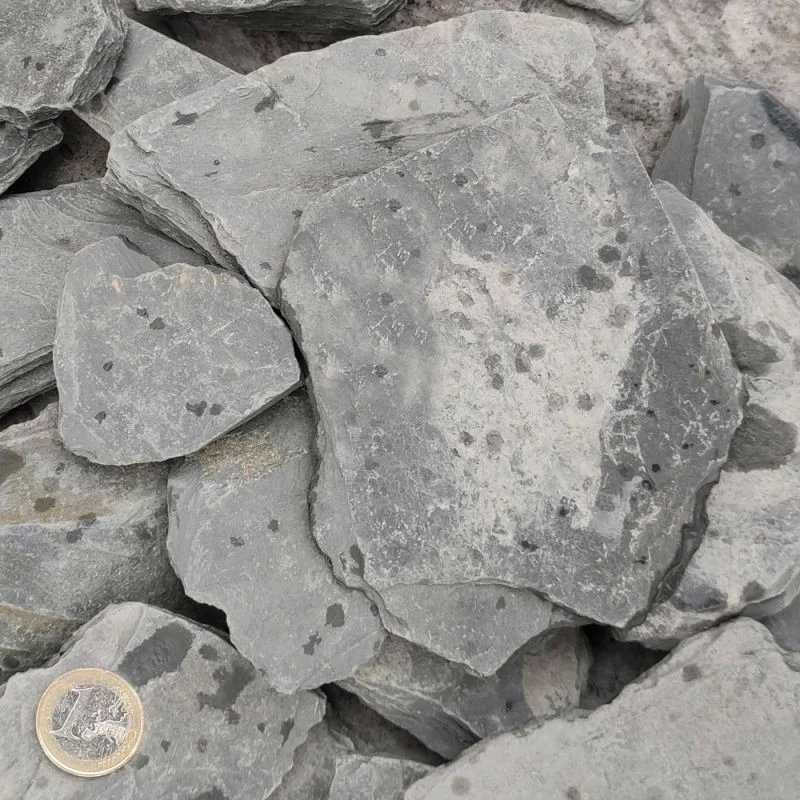 Paillettes D’ardoise Angers-Trélazé - 50/100 – Image 2