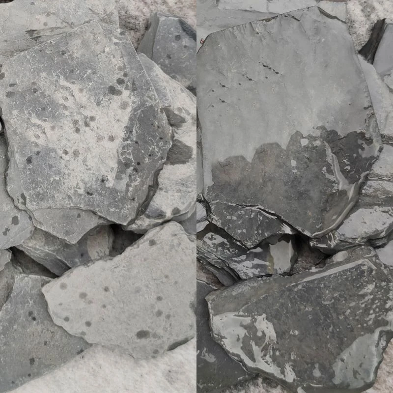 Paillettes D’ardoise Angers-Trélazé - 50/100